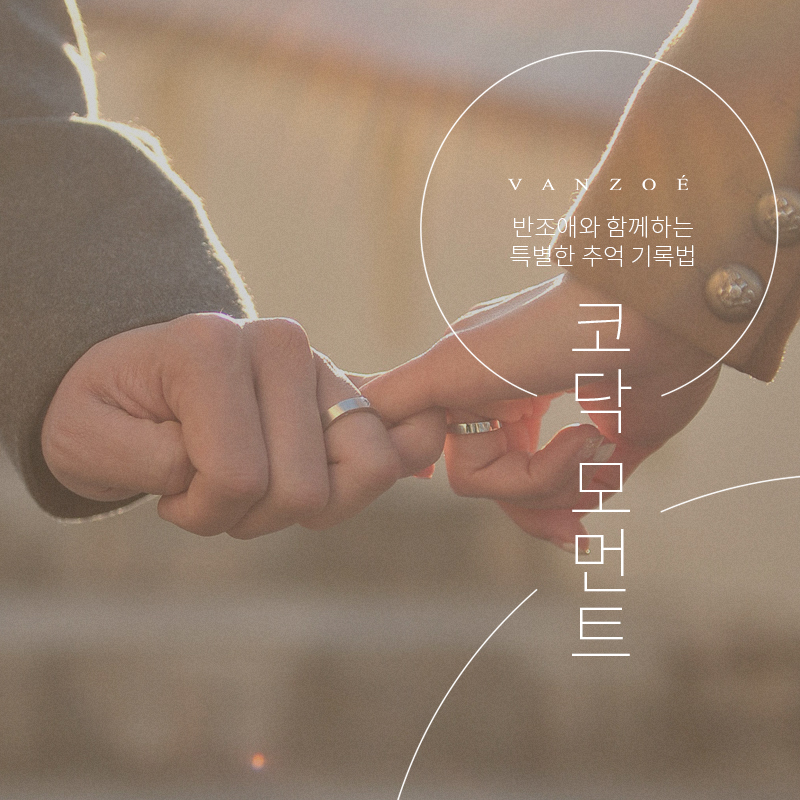 코닥모먼트 이미지