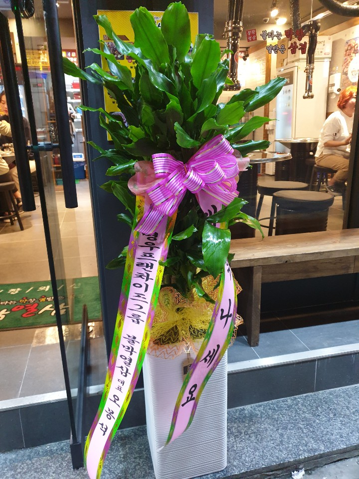 불막열삼 괴정점 이미지