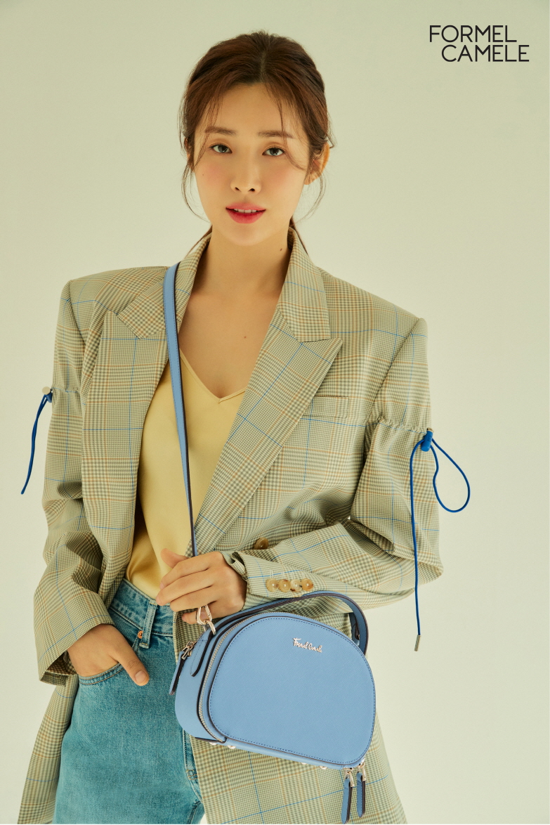 포멜카멜레 이미지