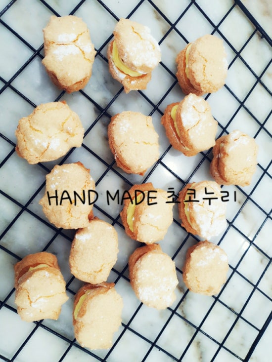초코누리 이미지