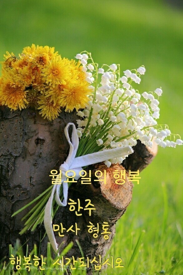 처갓집치킨 이미지