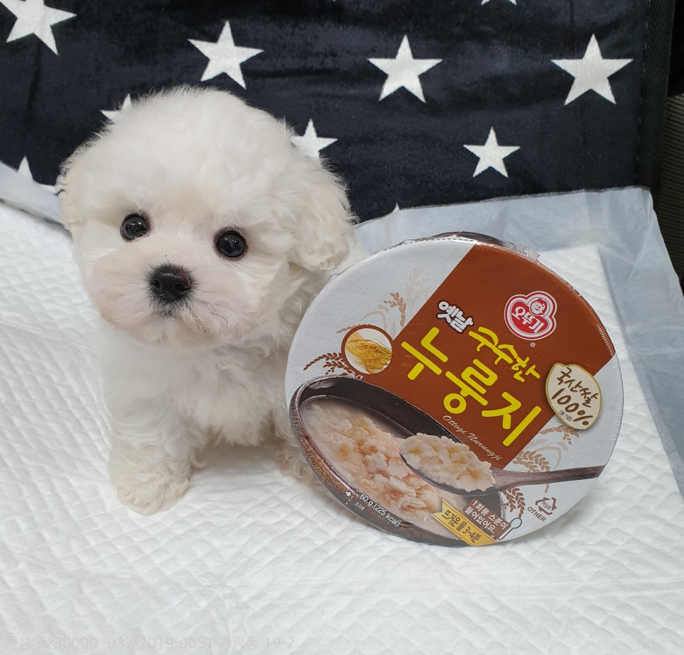 허니멍 이미지