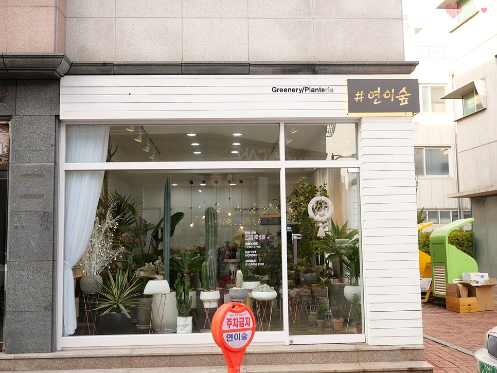 연이숲 이미지