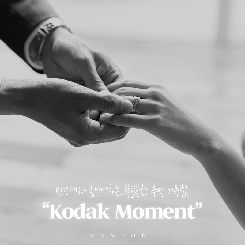 코닥모먼트 이미지