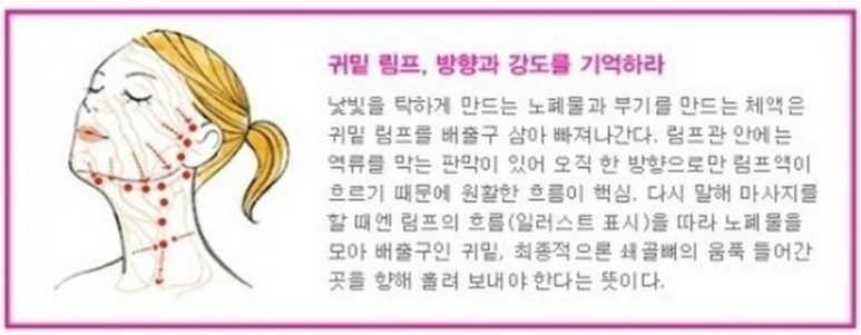 동안라인 이미지