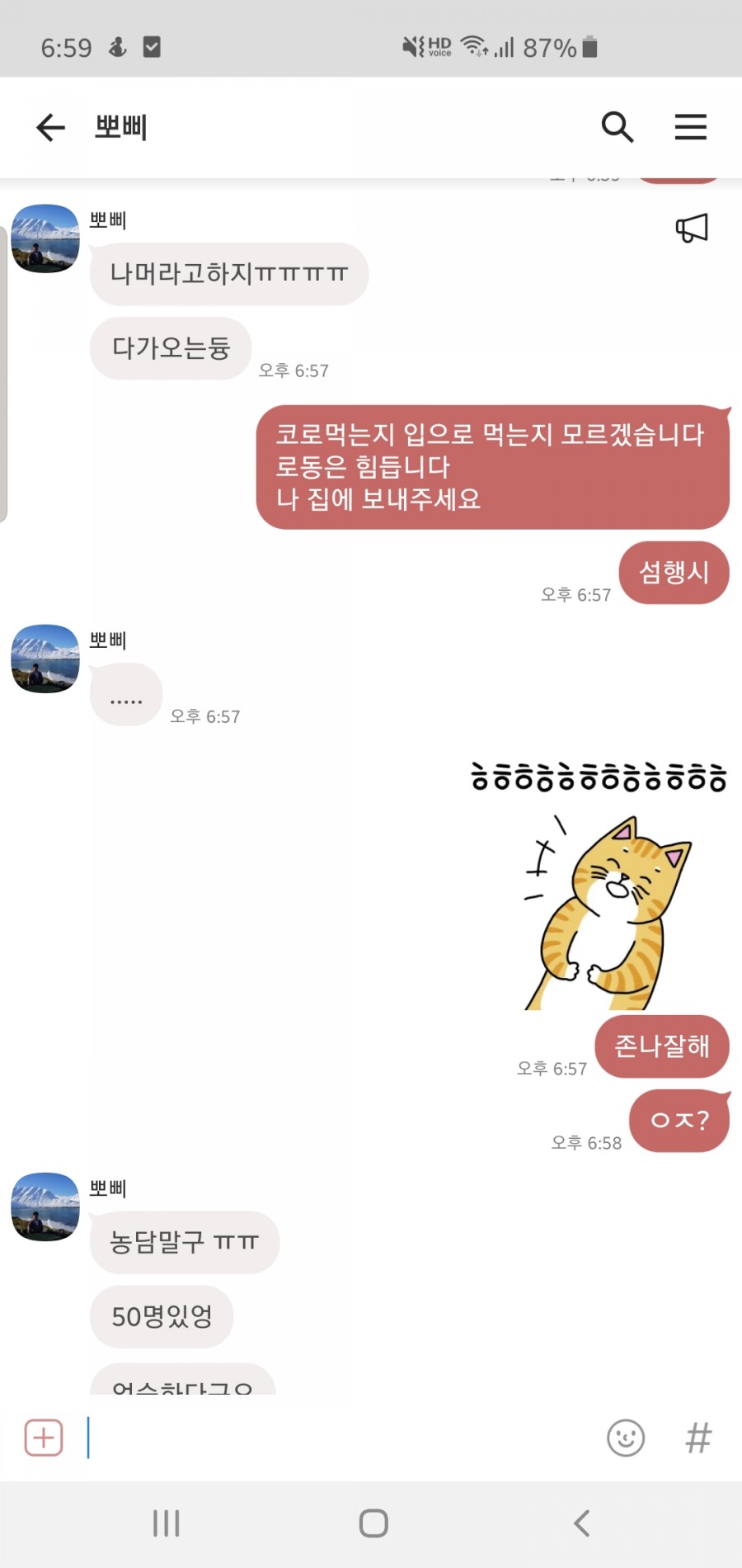 마그테 이미지