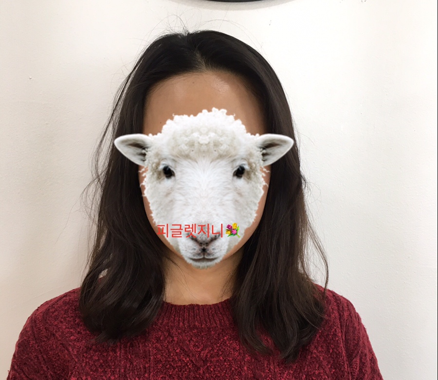 이안SYSTEM 이미지