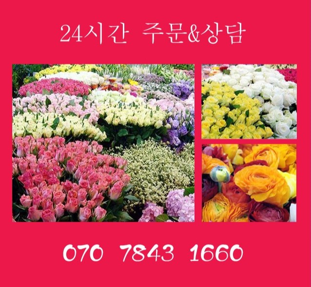 보람꽃집 이미지