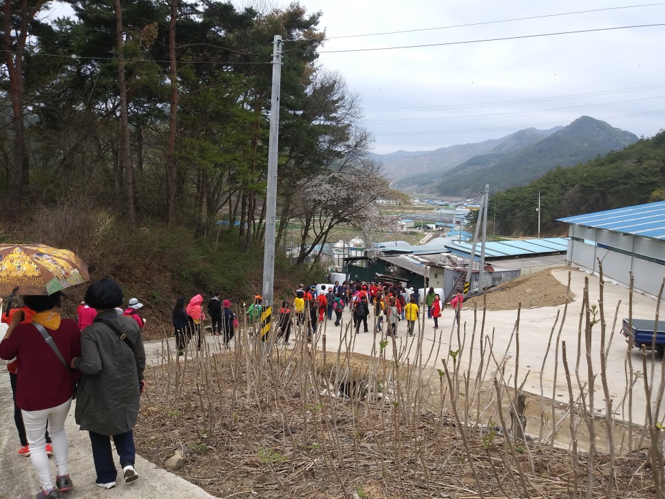 금천흑염소집 이미지