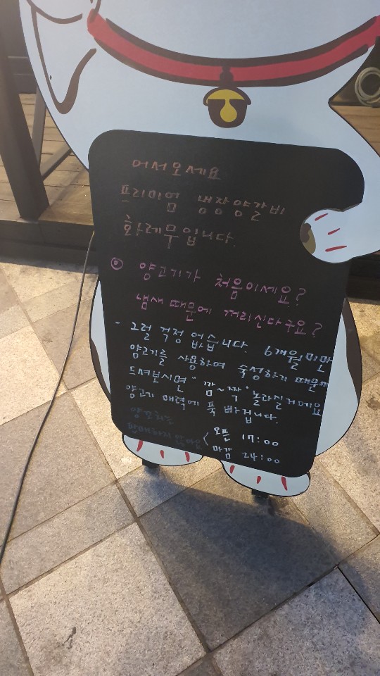 토르모터스 이미지