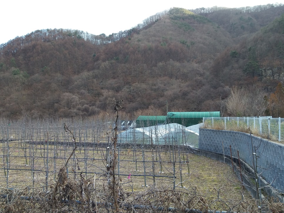 사시사철농원 이미지