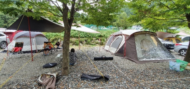 아름드리캠핑장 이미지