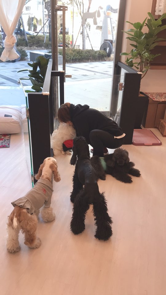 덕이미장원 이미지