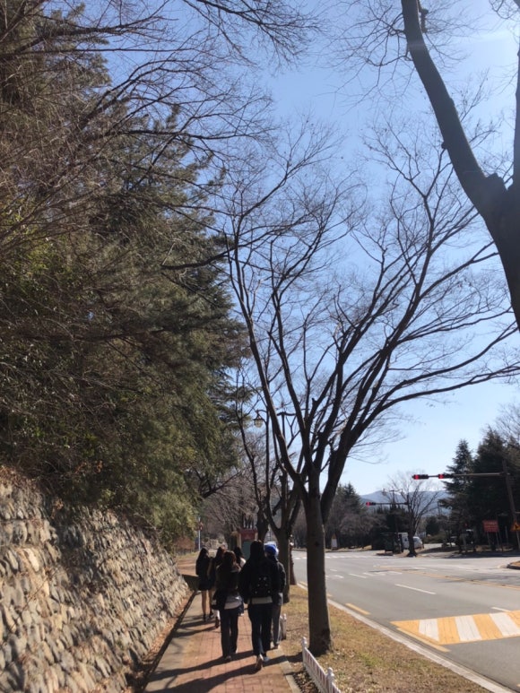 태자마트 이미지