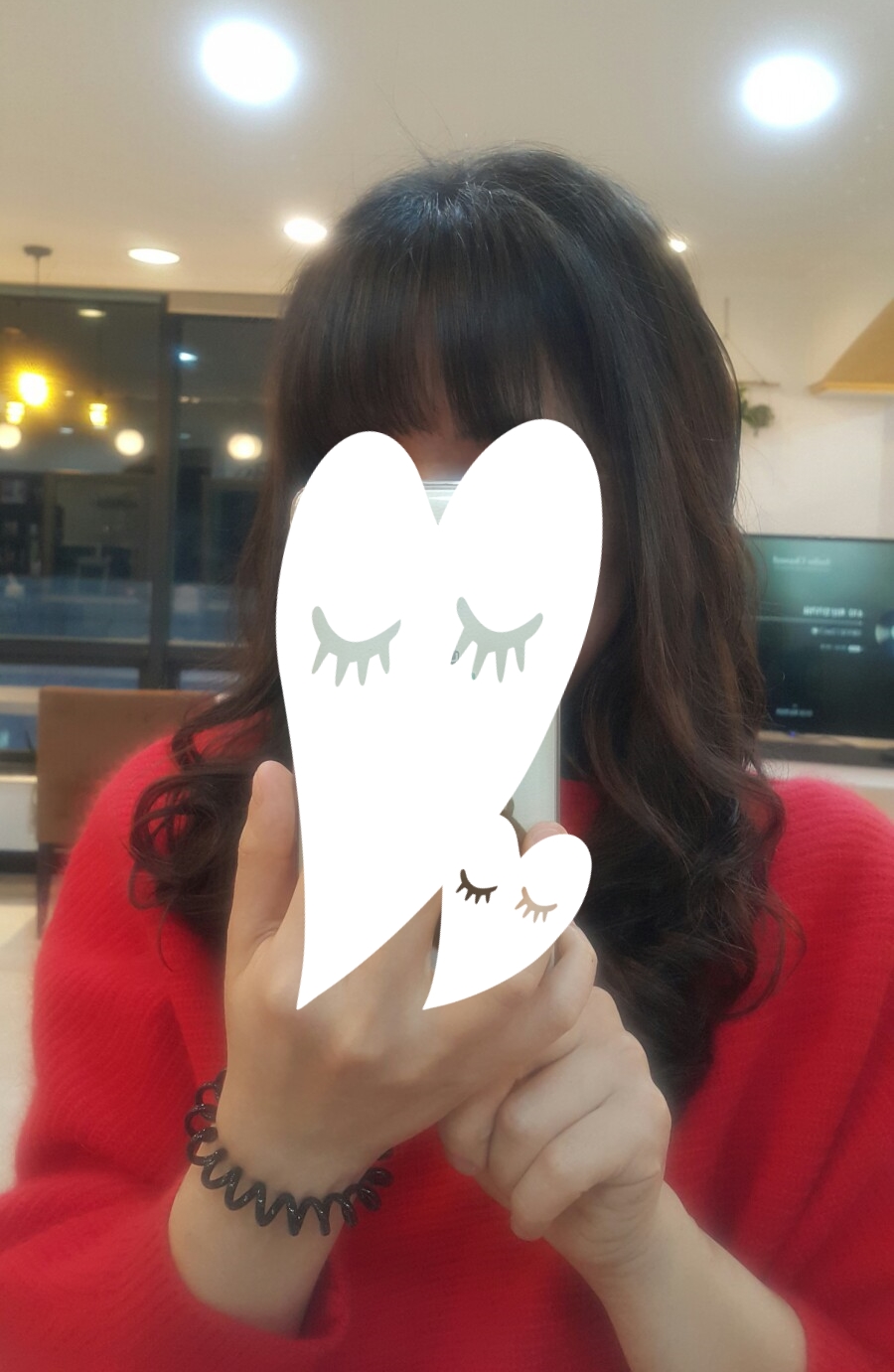 이안SYSTEM 이미지