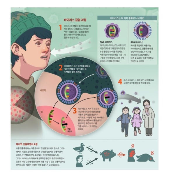 휴메드팜 이미지