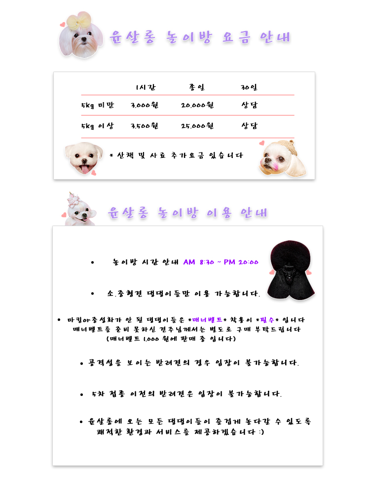 살롱윤 이미지