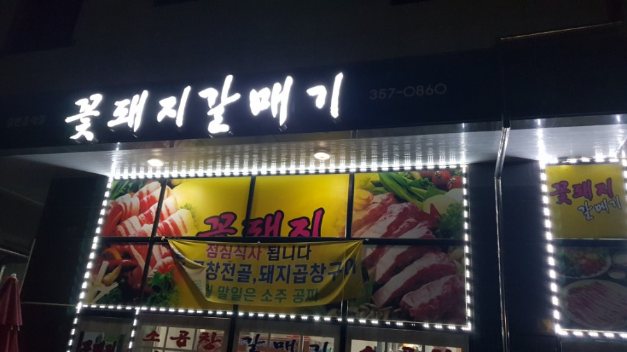 꽃돼지갈매기 이미지