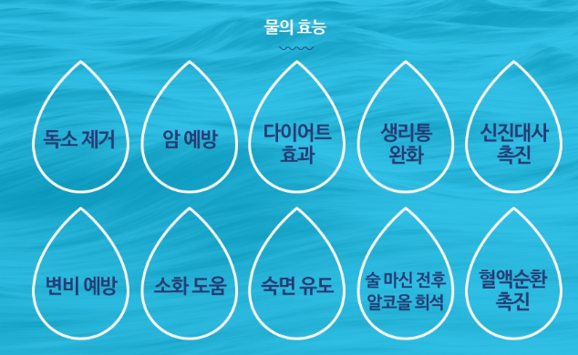 하루보틀 이미지