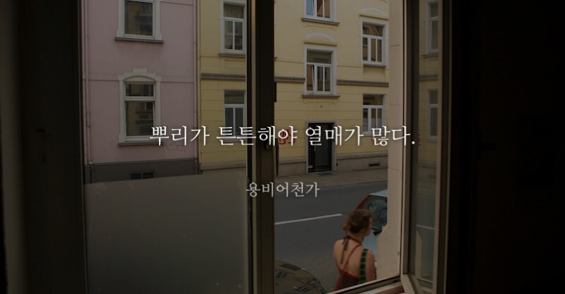 비포에프터 이미지