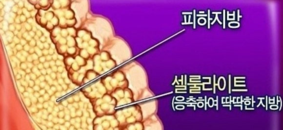 올가라인 이미지