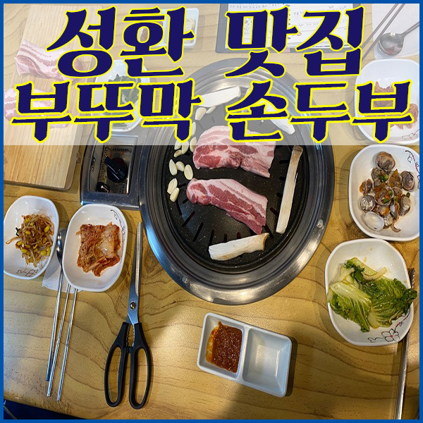 부뚜막손두부 이미지