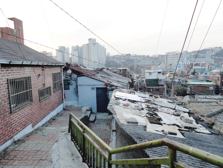 금화장 이미지
