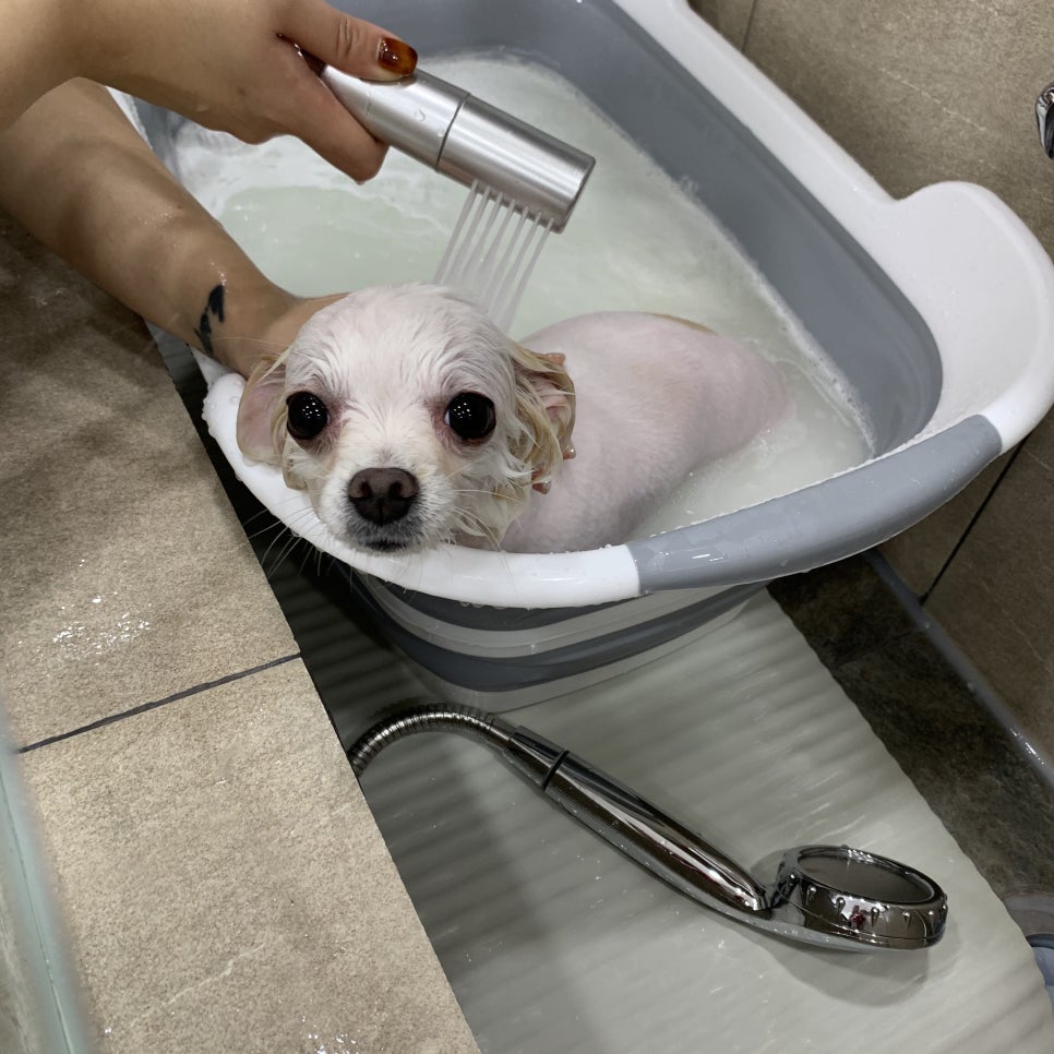 덕이미장원 이미지