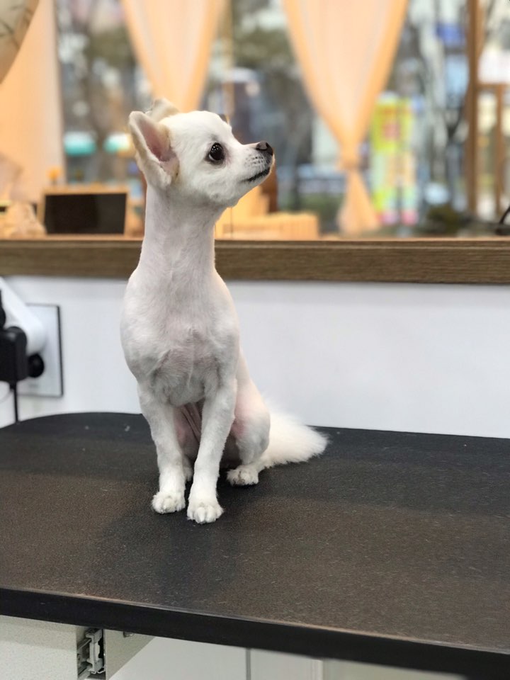 덕이미장원 이미지