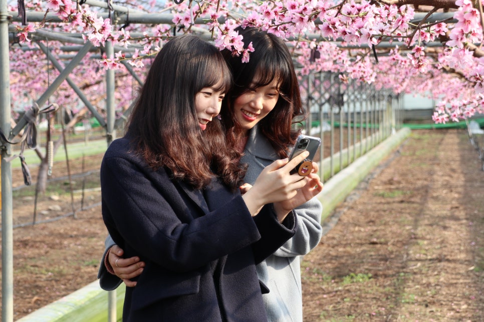 과일하우스 이미지