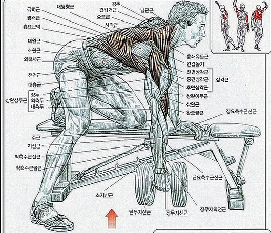 (주)덤벨이 이미지