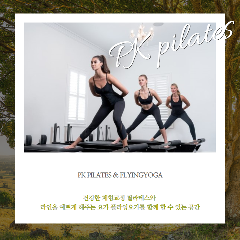 PK기구필라테스&플라잉요가 이미지