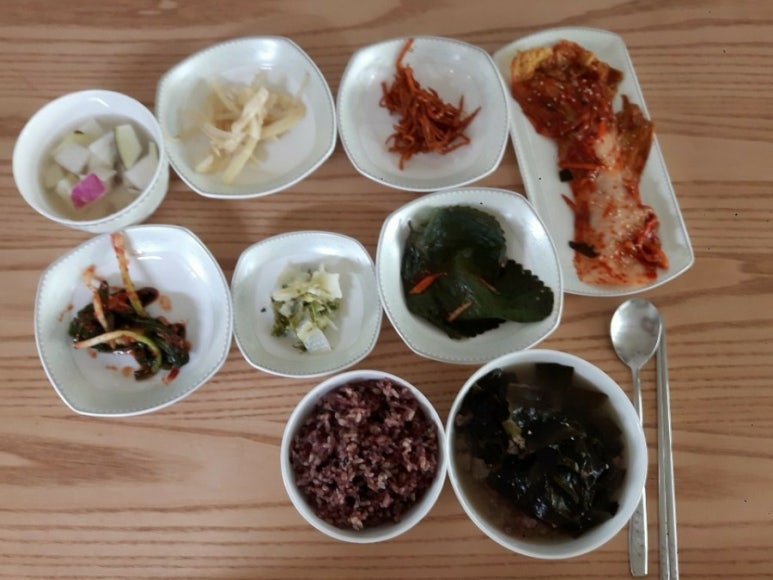 마터피아 이미지