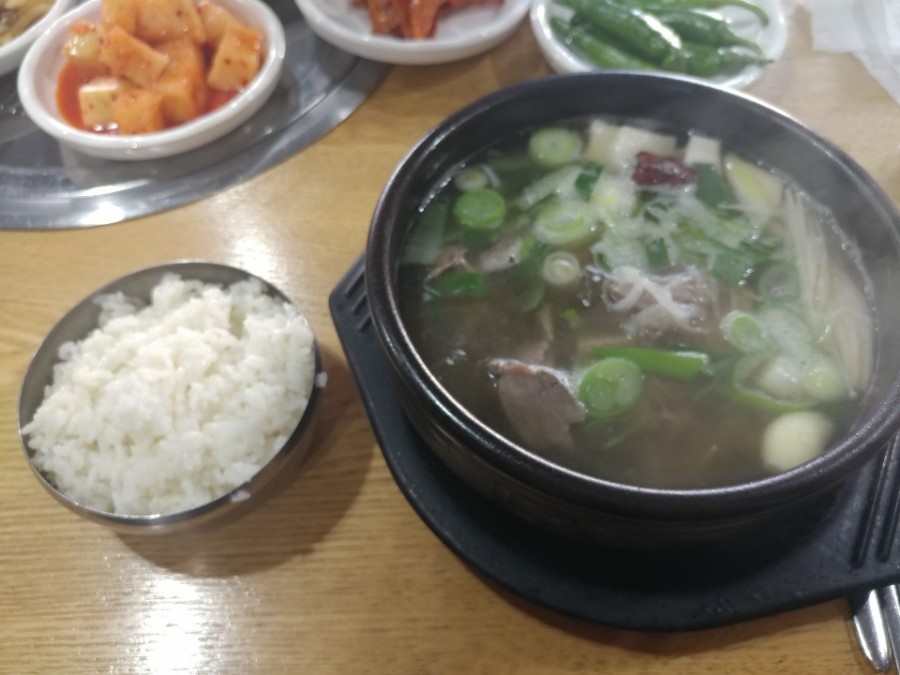꿈꾸는황소 이미지