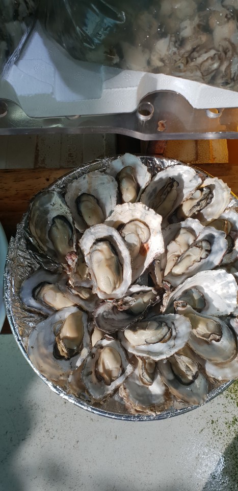 장고항수산 이미지