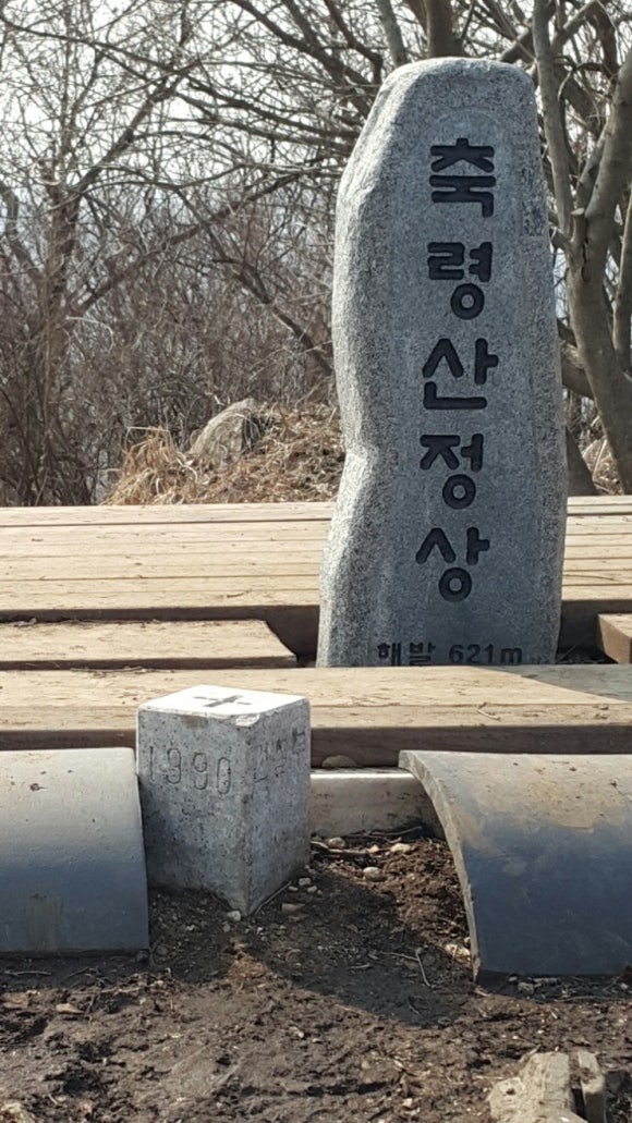 장성편백체험장 이미지