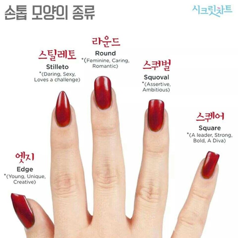 손톱모양 이미지