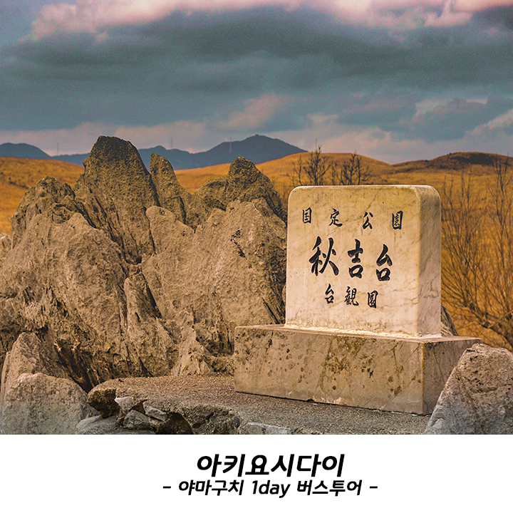 원다이버스 이미지