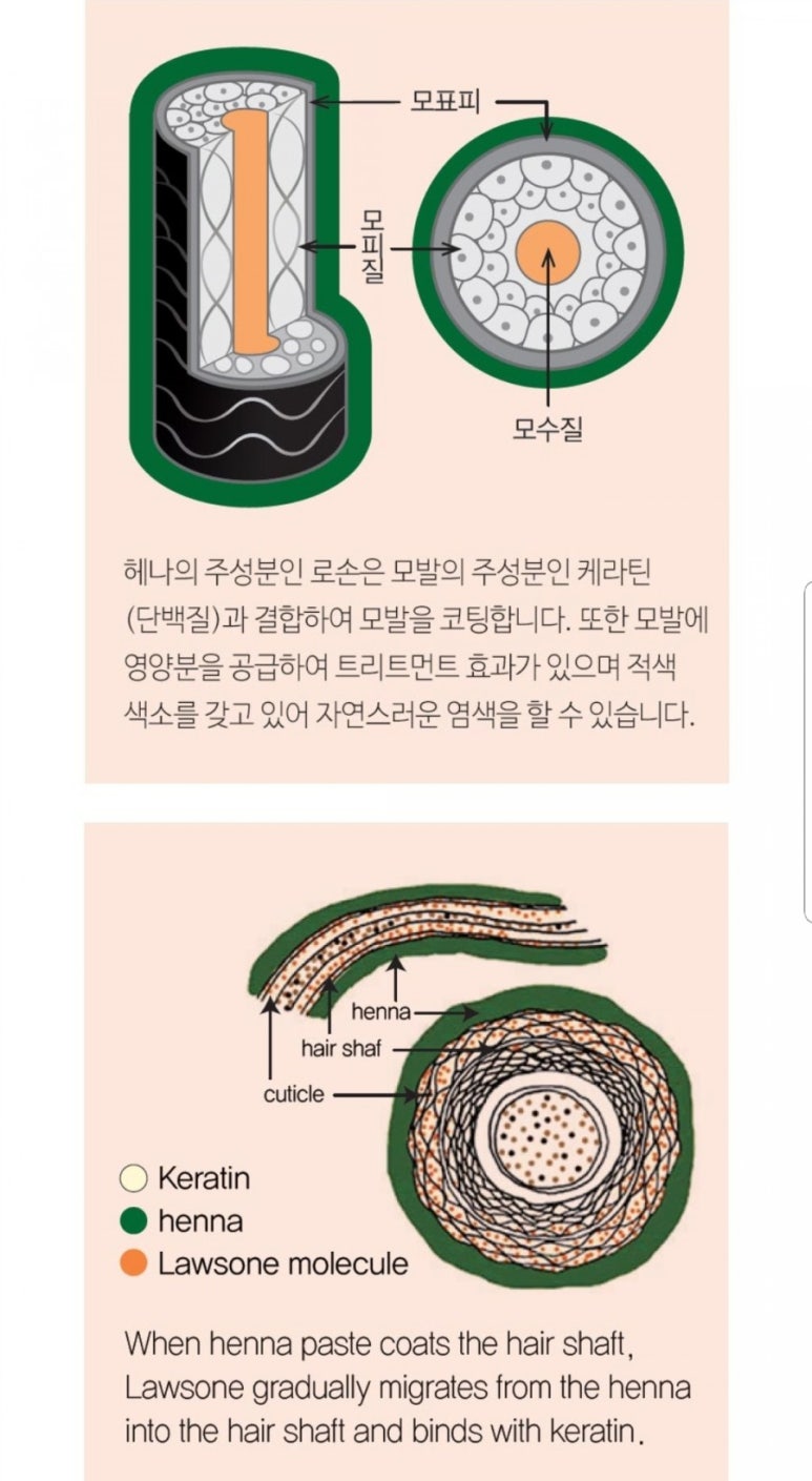 명품헤나 이미지