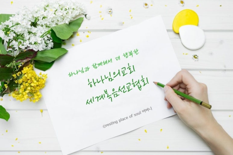 아사렐 이미지