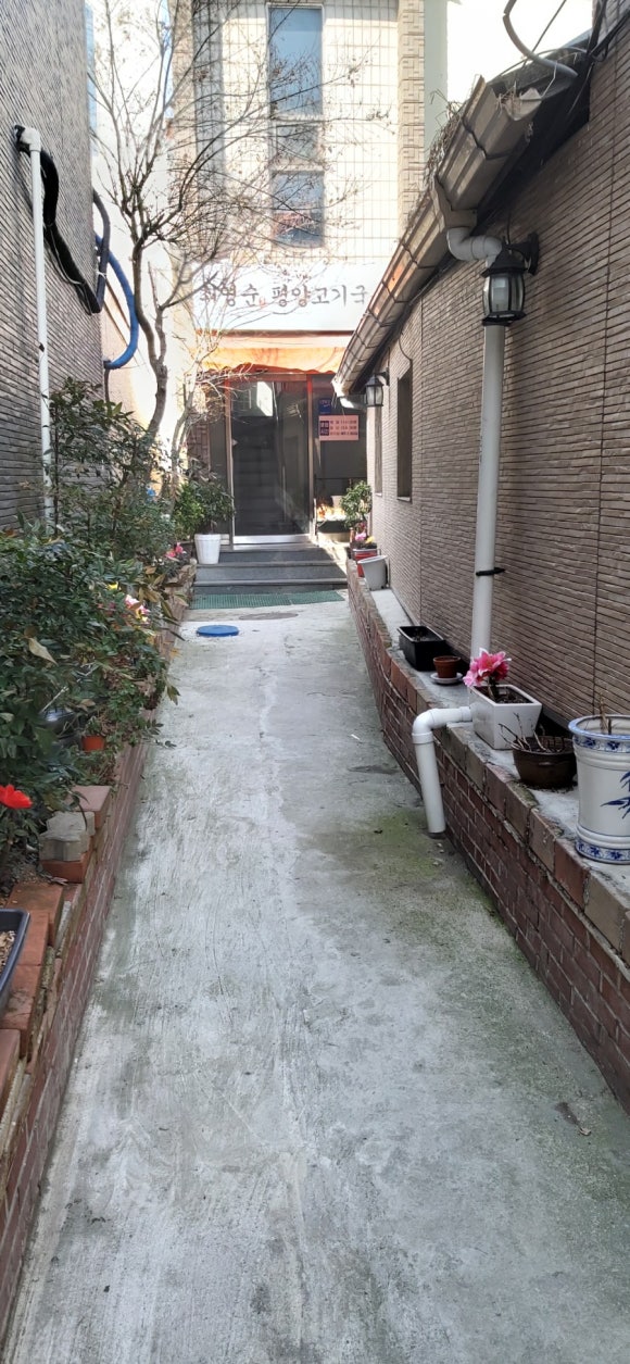 최영순의평양고기국수 이미지
