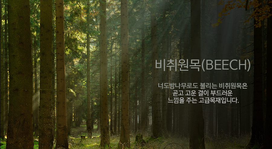 제인의식탁 이미지