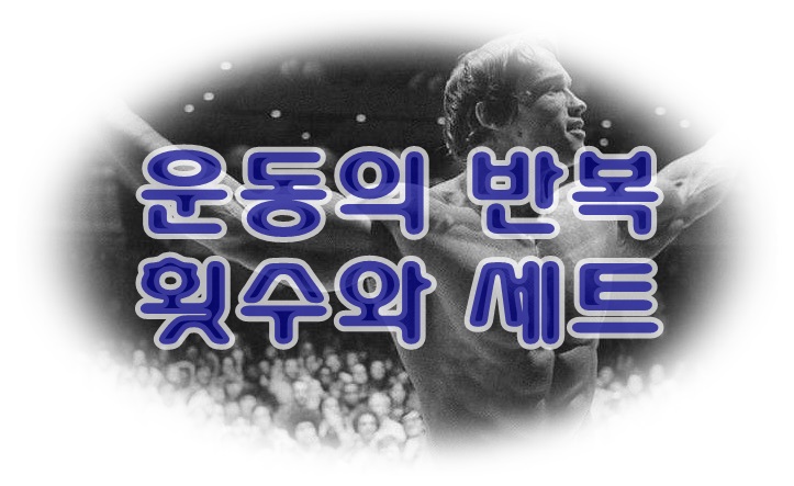 코코짐 이미지