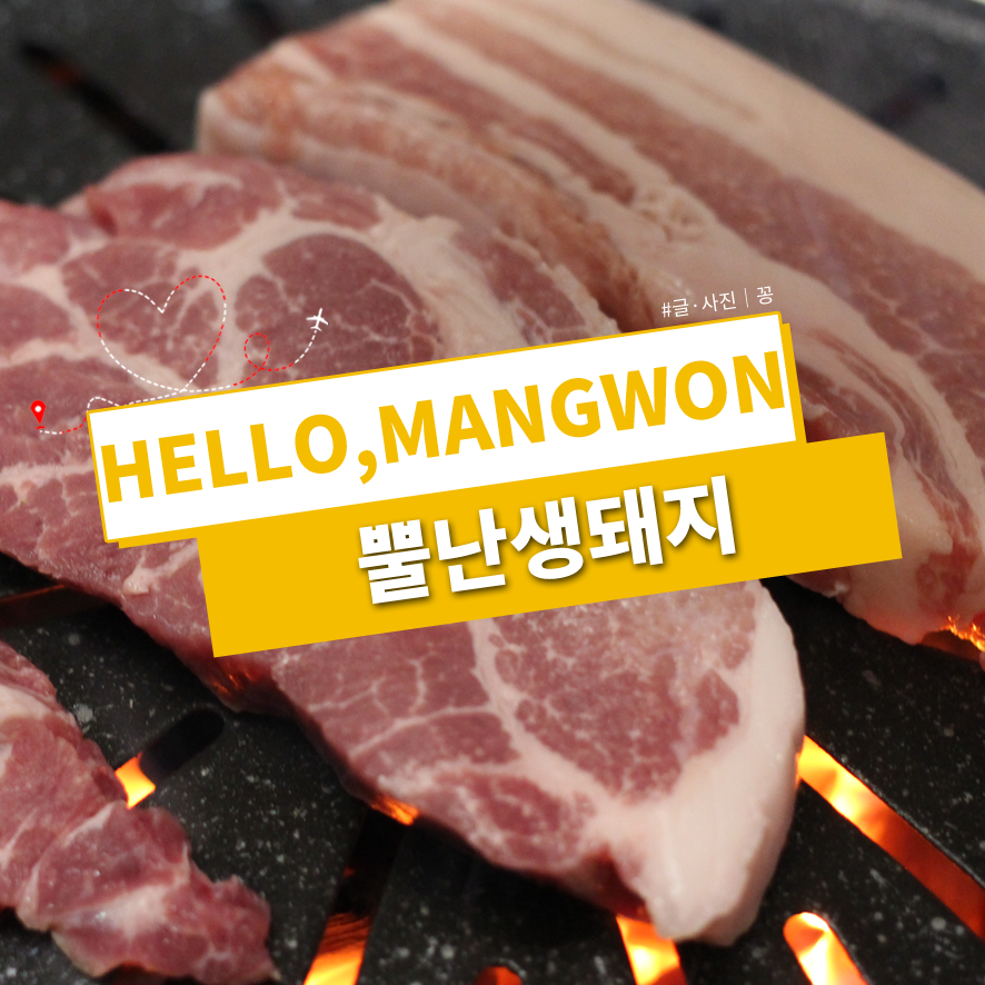 뿔난생돼지 이미지