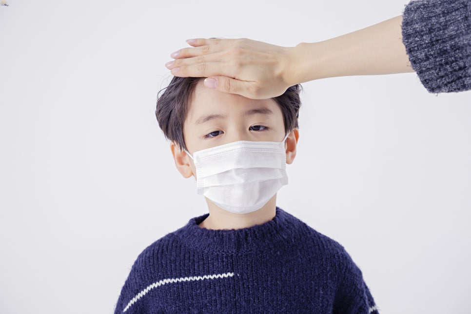 비티엠 이미지