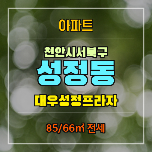 성정프라자 이미지