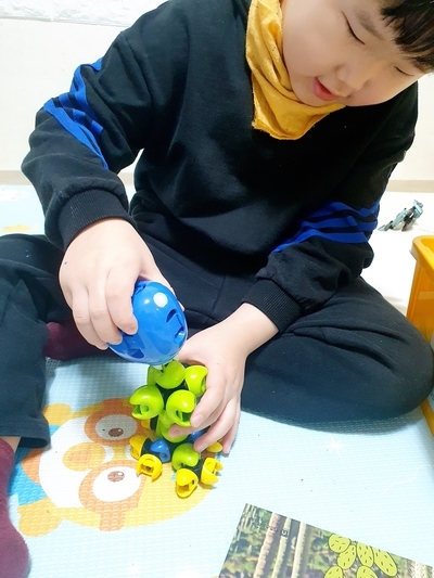 오케이선인장 이미지