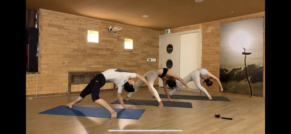 윌핏 이미지