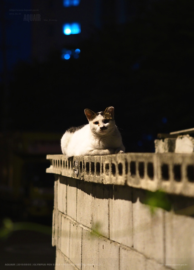 편한자리 이미지
