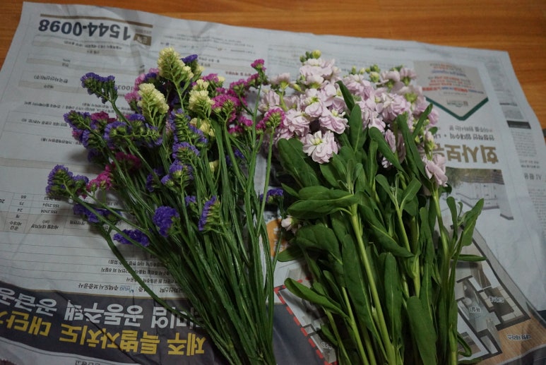 태광플라워팩토리 이미지